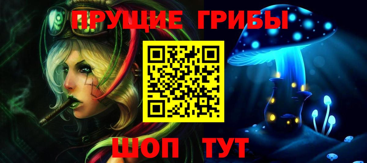 Нарткала  Галлюциногенные грибы MAGIC MUSHROOMS  Вход с VPN 